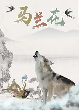 日韩高清不卡