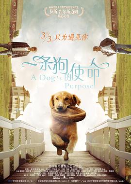 99青草青草久热精品视频