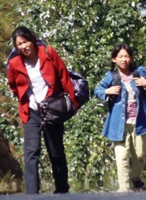 草久久网