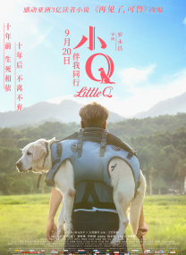 最新九九精品