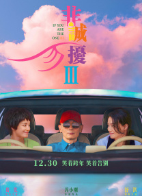 国产在线国偷精品免费看