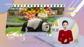 午夜精品久久久