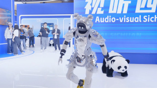 我来也我去也在线观看